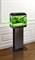 Аквариум Biodesign Классик 30, силикатное стекло Pilkington Optifloat™, 4 мм, 28 л, 40х22х39 см, LED светильник, венге купить с доставкой
