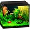 Купить Аквариум Biodesign Классик 50, силикатное стекло Pilkington Optifloat™, 4 мм, 55 л, 50х29х45 см, LED светильник, черный