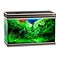 Купить Аквариум Biodesign Altum 135, силикатное стекло Pilkington Optifloat™, 6 мм, 135 л, 81x38x53 см, шторка для автокормушки, венге