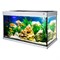 Аквариум Biodesign Altum 300, силикатное стекло Pilkington Optifloat™, 8–10 мм, 300 л, 126x46x60 см, шторка для автокормушки, серебряный купить с доставкой