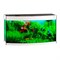 Купить Аквариум Biodesign Altum Panoramic 200, силикатное стекло Pilkington Optifloat™, 6-8 мм, 200 л, 101x46x57 см, шторка для автокормушки, белый