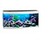 Купить Аквариум Biodesign Altum Panoramic 300, силикатное стекло Pilkington Optifloat™, 8-10 мм, 300 л, 126x51x60 см, шторка для автокормушки, белый