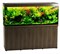 Аквариум Biodesign Атолл 700, силикатное стекло Pilkington Optifloat™, 10-12 мм, 670 л, 181x61x75 см, шторка для автокормушки, золотой орех купить в Минске