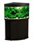 Аквариум Biodesign Диарама 150, силикатное стекло Pilkington Optifloat™, 5-6 мм, 130 л, 63x63x52 см, шторка для автокормушки, венге купить в Минске