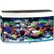 Купить Аквариум Biodesign Панорама 150, силикатное стекло Pilkington Optifloat™, 6-8 мм, 147 л, 91x41x54 см, шторка для автокормушки, белый