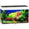 Купить Аквариум Biodesign Риф 125, силикатное стекло Pilkington Optifloat™, 5-6 мм, 125 л, 81x38x52 см, шторка для автокормушки, белый