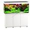 Аквариум Biodesign Риф 280, силикатное стекло Pilkington Optifloat™, 6-8 мм, 280 л, 126x46x60 см, шторка для автокормушки, бук купить в Минске