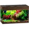 Купить Аквариум Biodesign Startup 50, силикатное стекло Pilkington Optifloat™, 4 мм, 50 л, 60x27.5x38 см, шторка для автокормушки, LED светильник, орех