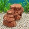 Черепашник №217 ZooAqua «Каменный берег», ракурс со стороны нижних ступеней