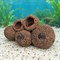 Декор №408 ZooAqua, нижний ракурс полостей и округлого основания