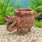 Шкатулка №412 ZooAqua «Драконий ларец», боковой ракурс