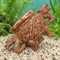 Шкатулка №412 ZooAqua «Драконий ларец», детальный ракурс рельефа