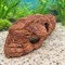 Грот №60 ZooAqua «Каменный лабиринт», дополнительный ракурс