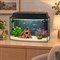 Аквариум Aqua «Телик» 25 л «Лесная тропинка» с включённым освещением в интерьере