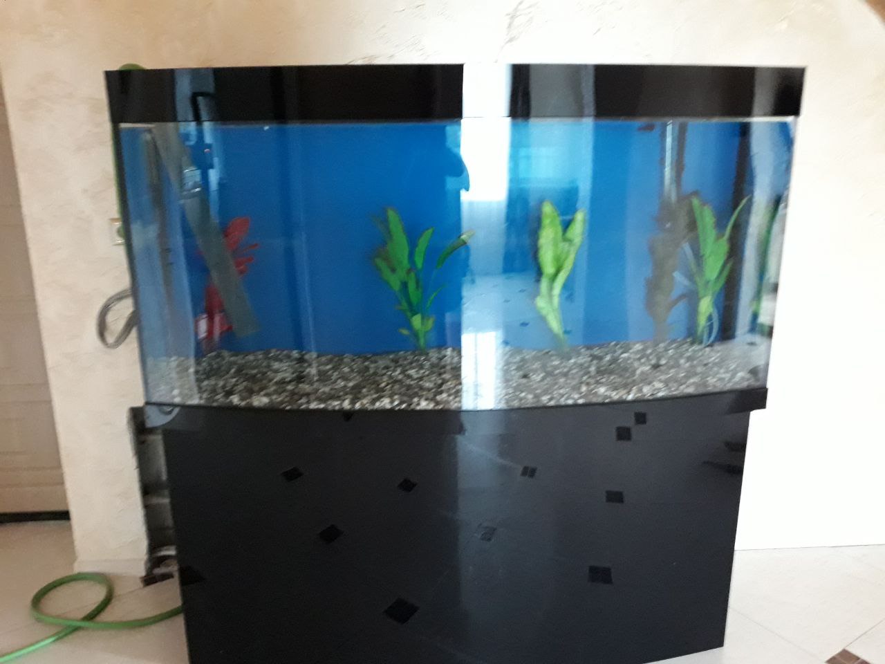 Шкаф аквариум: Шкаф со встроенным аквариумом
