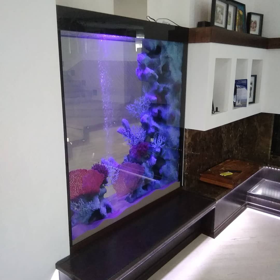 высокий аквариум